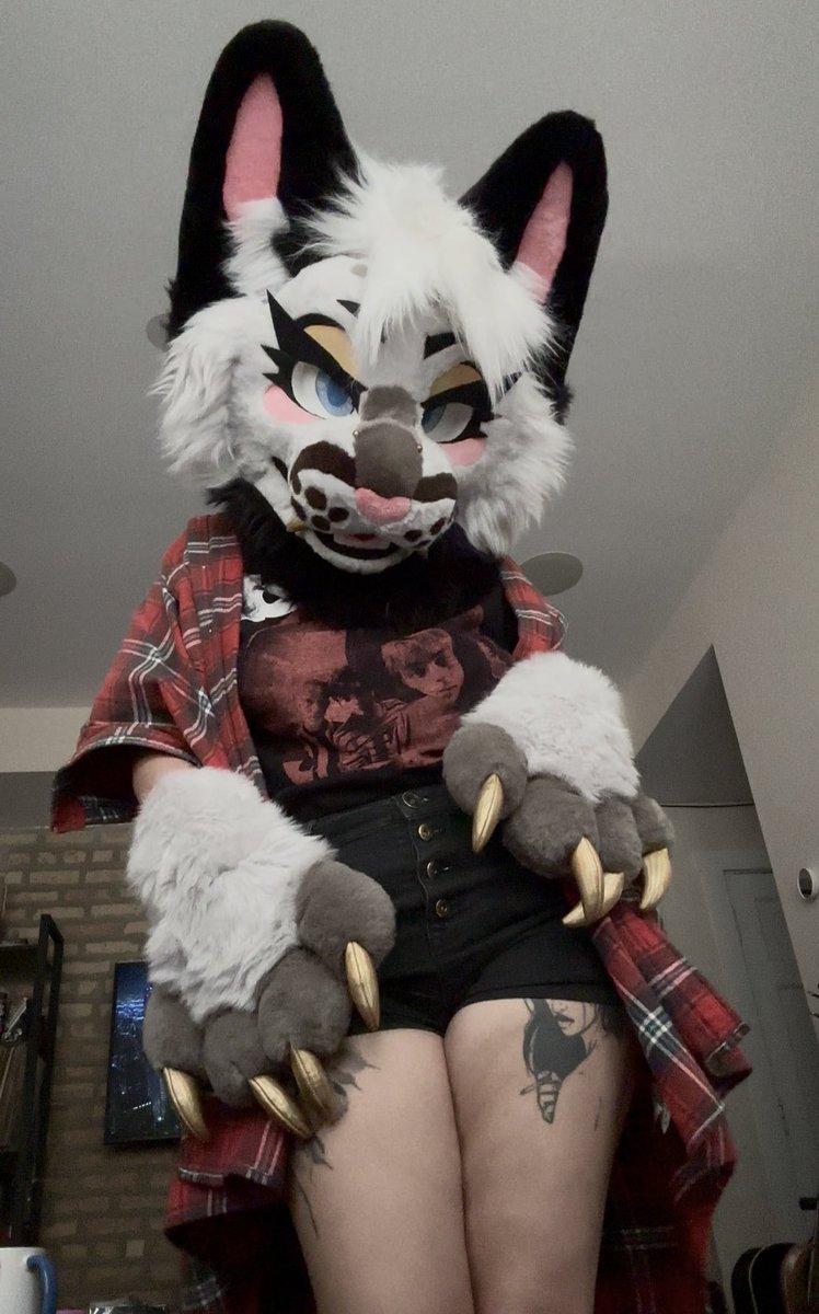 likelystorms's tweet image. howdy! it has been awhile :) 

#fursuit by @OpalMutt 🪡