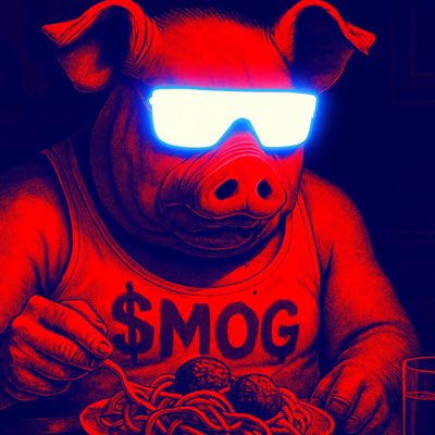 SpaghettiMog 🫵🏻😹 tweet media