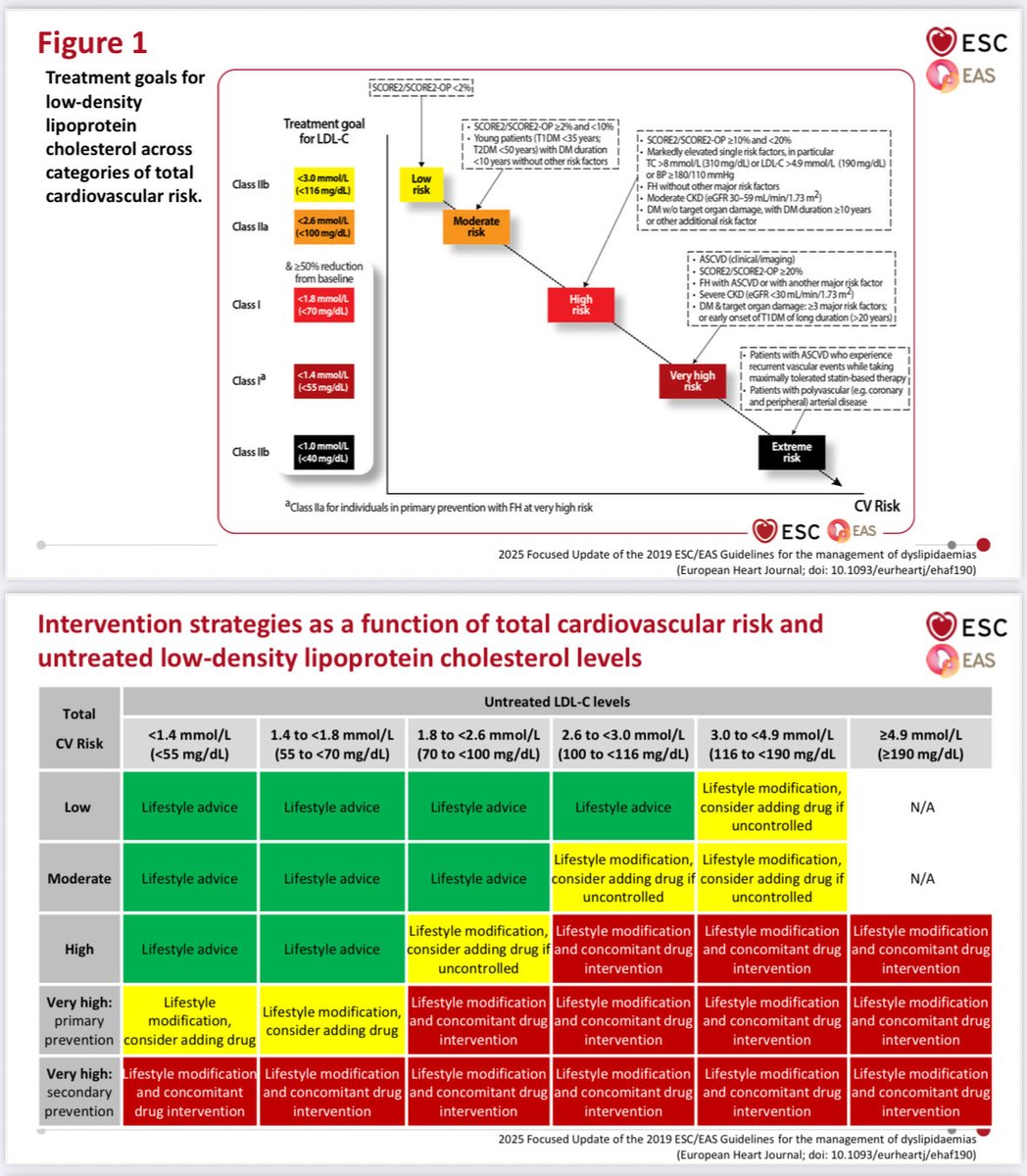 hvanspall's tweet image. Have you reviewed the new @escardio #dyslipidemia #guidelines? 

Guideline chair, Dr Roeters van Lennep reviews the top takeaways in this @radcliffeCARDIO discussion

Check out the slides in the link below

#LDL #Lpa #CVprevention #ESCcongress