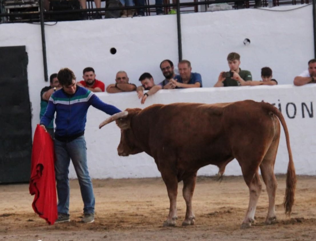 Hace poco tuve el privilegio de verle torear (aunque no como nos gustaria) y poder escuchar algunas de sus anécdotas y consejos. Qué suerte.. Benditos locos.