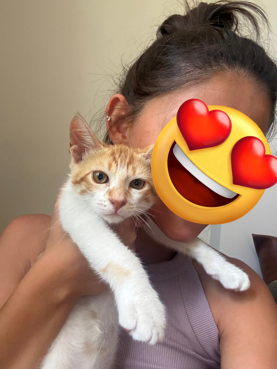 Hala yuvamızı arıyoruz zamanımız az kaldı bizi görsenizee 🌼🌼🌼🌼