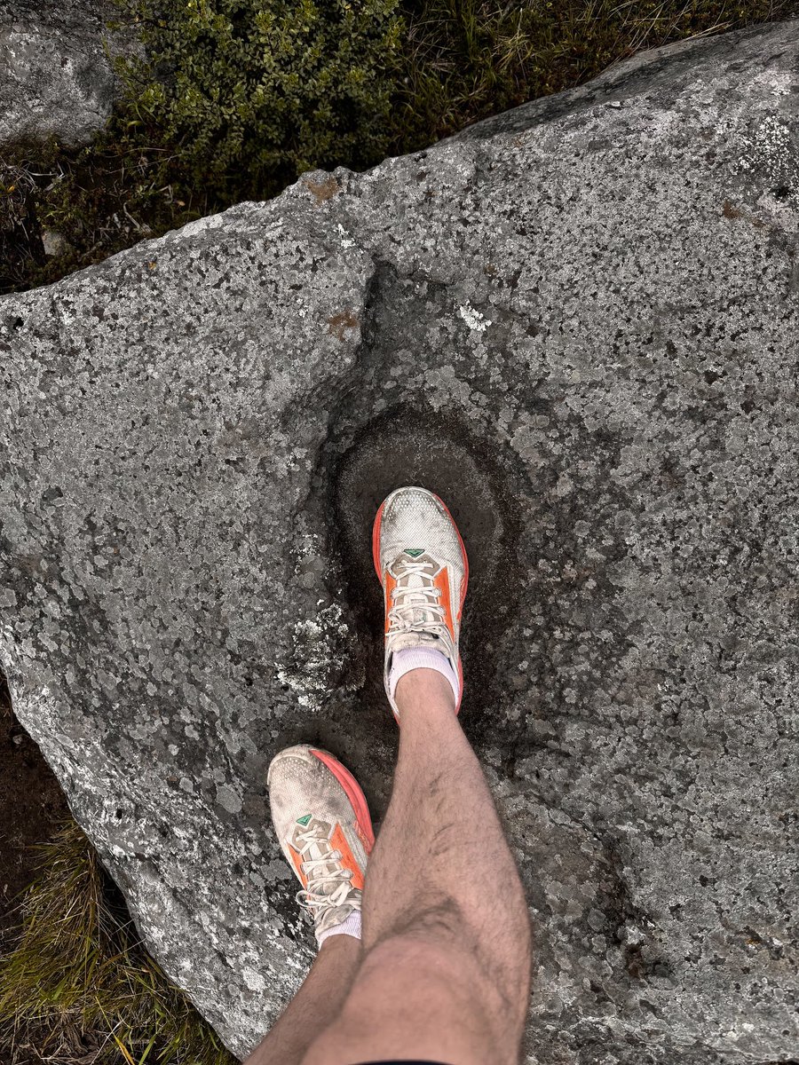 On a run outside Mexico City. Normal to find this in a stone? Size 11 foot attached to my leg in photo