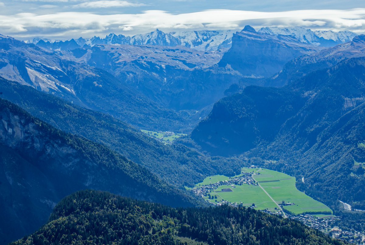 Nicolas Jacquet tweet media