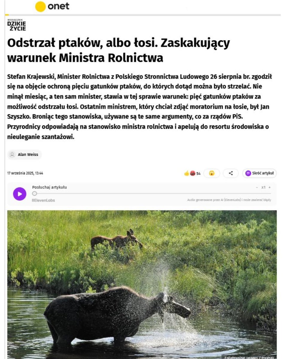 Pracownia Bystra tweet media