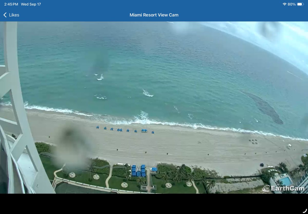 not_retired's tweet photo. @JackLinFLL Cool. The EarthCam app is worth every penny. I think it’s underpriced actually. https://t.co/mAfP70Erjy