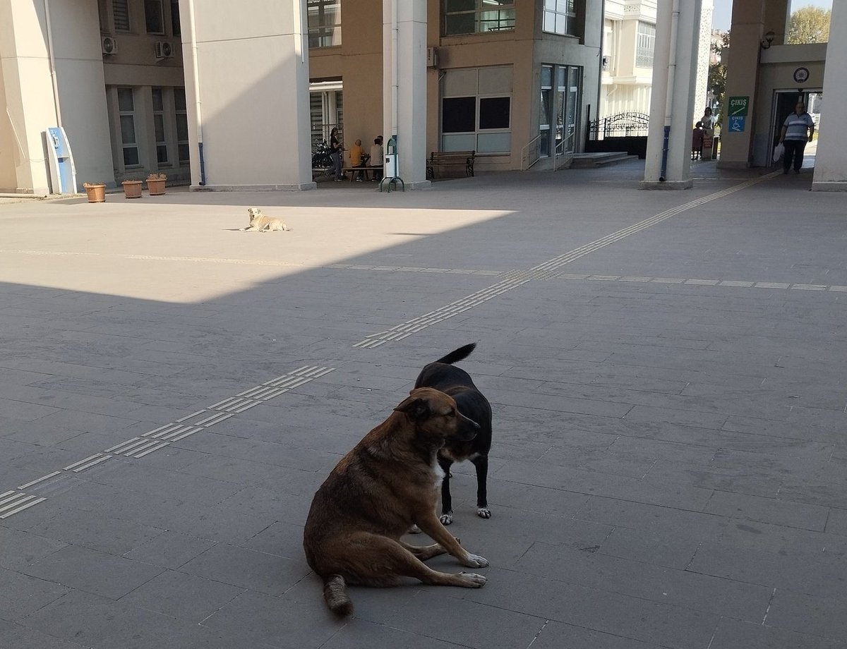 Afyonkarahisar vs Düzce 
Valilik Binaları Girişleri
Turnusoldur !!! 
<a href="/AfyonValiligi/">T.C. Afyonkarahisar Valiliği</a> <a href="/duzce_valiligi/">Düzce Valiliği</a> <a href="/TC_icisleri/">T.C. İçişleri Bakanlığı</a> <a href="/AliYerlikaya/">Ali Yerlikaya</a> <a href="/turanbulent/">Bülent TURAN</a>