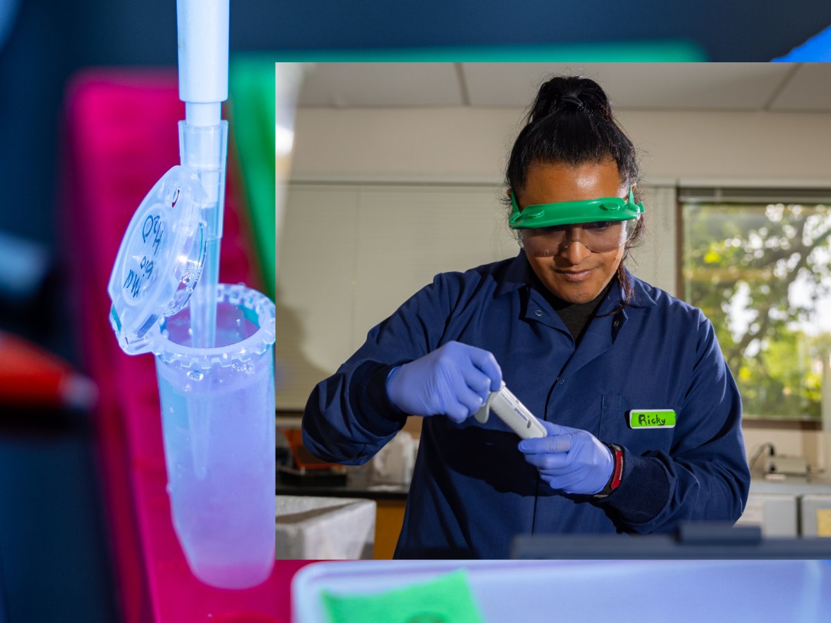 For Whitman students, summer is a season of research and discovery🔬💡

More than 100 students spent their summer exploring unanswered questions and solving real world problems alongside expert faculty. bit.ly/4n8aBat