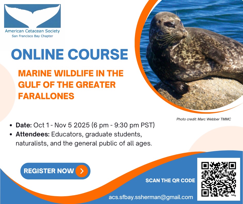 DON'T FORGET TO REGISTER➡📷📷 WE ARE SO EXCITED TO ANNOUNCE OUR ONLINE COURSE OFFERING 2025  "Marine Wildlife in The Gulf of the Greater Farallones"   Register now: bit.ly/online-course-… 
Date and Time: Oct 1-Nov 5 (Every Wednesday 6 pm-9:30 pm Pacific Time)