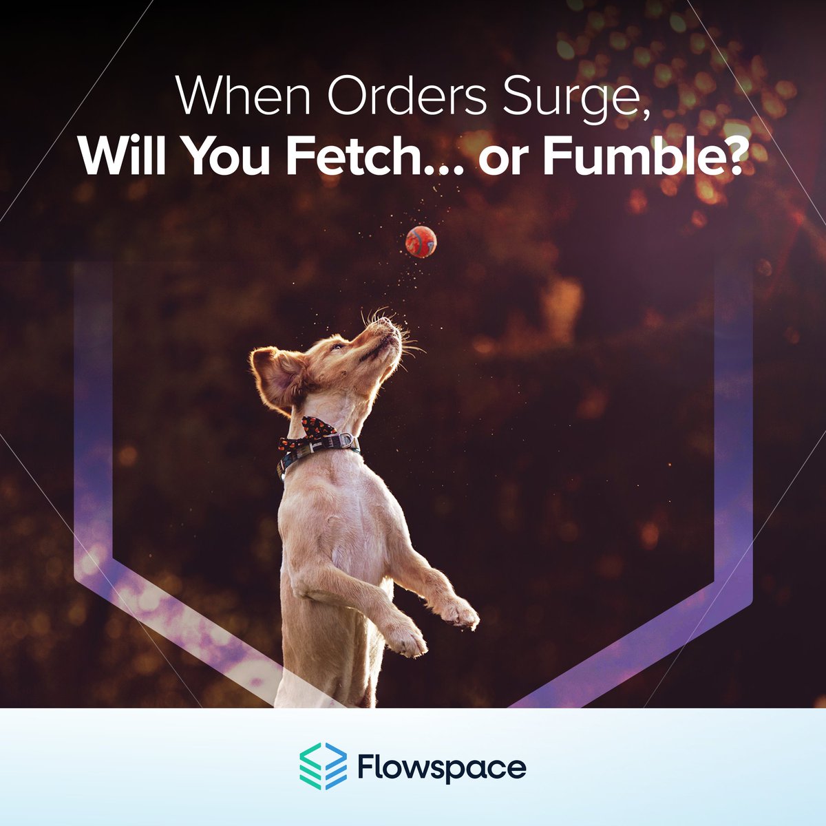 get_flowspace's tweet image. 🚨 The day your ops are most likely to break? Surge days. 🚨 
 Without the right infrastructure, surges mean stockouts and penalties. The right partner turns them into growth and loyalty.
If you’re looking for this partner, start here: hubs.la/Q03JPYkJ0