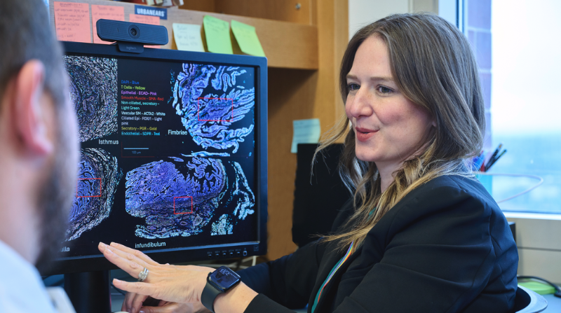 UPenn I3H (@upenn_i3h) on Twitter photo ⏱️Every minute in the U.S., someone needs a blood transfusion due to their period. Dr. O’Neill + team are developing an mRNA therapy to treat abnormal uterine bleeding and uncover its causes—a potential breakthrough for menstrual health and #mRNA tech. bit.ly/4n8rGkB ⏱️Every minute in the U.S., someone needs a blood transfusion due to their period. Dr. O’Neill + team are developing an mRNA therapy to treat abnormal uterine bleeding and uncover its causes—a potential breakthrough for menstrual health and #mRNA tech. bit.ly/4n8rGkB