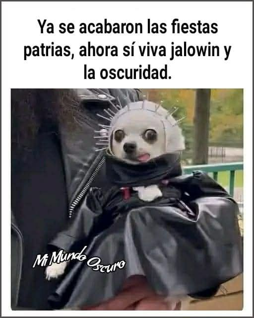 MexicoMagico's tweet photo. https://t.co/juVVNlVlXV
