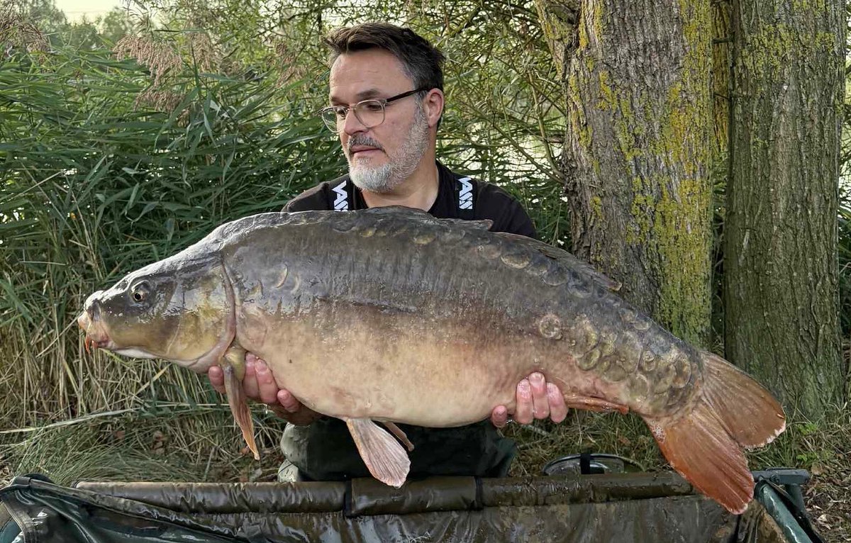 Bayeswater fisheries tweet media