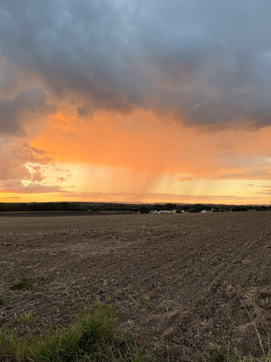 Niemand hat die Absicht eine Mauer zu errichten. Eine Impfpflicht wird es nicht geben. Die Impfung ist sicher. Die Rente ist sicher. Nie wieder Krieg. Wettermanipulation ist eine Verschwörungstheorie.