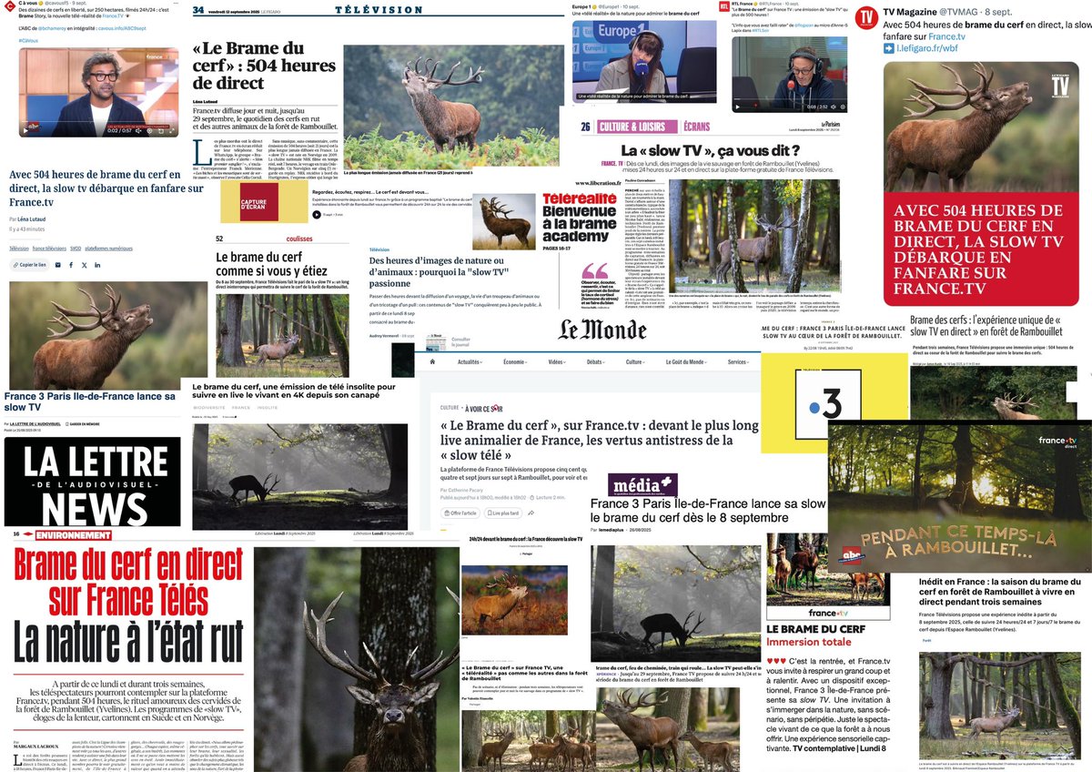 Philippe Martinetti tweet media