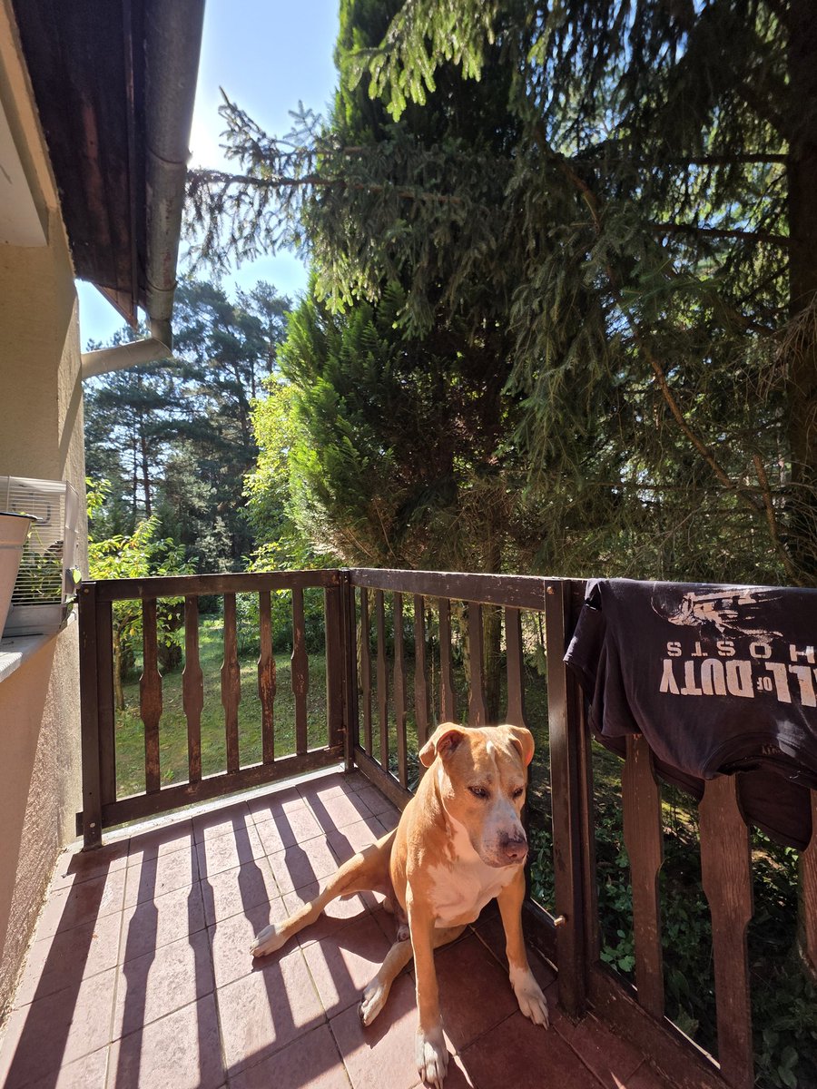 iamreloading's tweet image. Tomky 2025