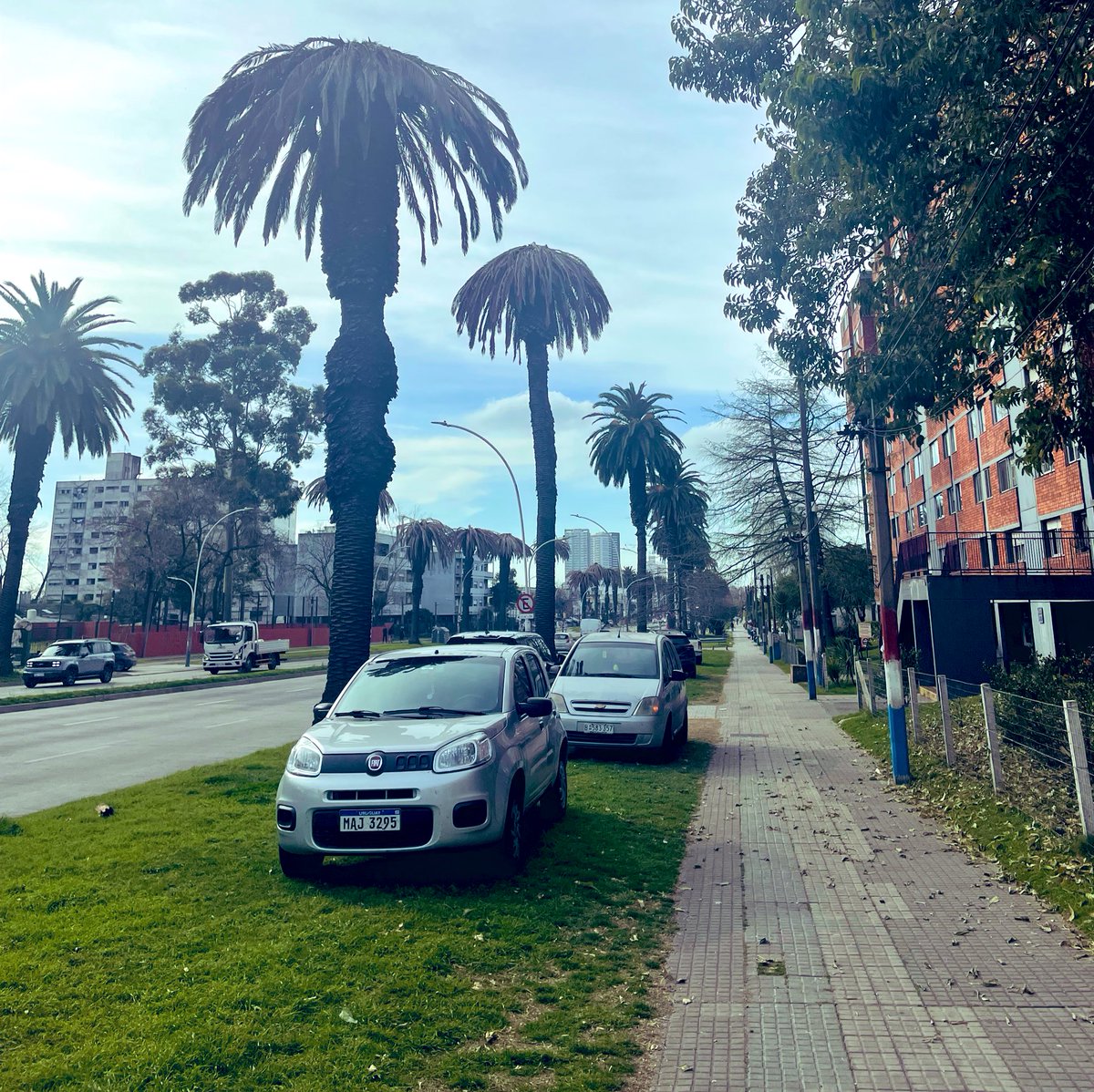 El auto, el rey de la ciudad. Bulevar Artigas un jueves a la tarde y la impunidad de tener un vehículo van de la mano. No hay verde, ni peatones, ni nada más importante que el auto, verdad <a href="/montevideoIM/">Intendencia de MVD</a> ?
