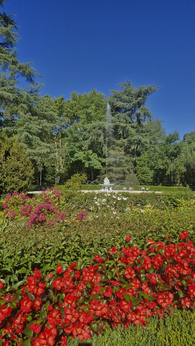 garedemadrid's tweet photo. Jardín de los Palacios  de Vista Alegre en #Madrid.
Más info:
https://t.co/NrUTaCedRO https://t.co/Sc7lPDmexh