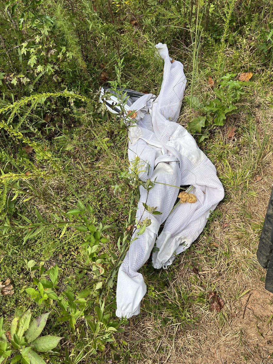 I guess the bees got him?!?