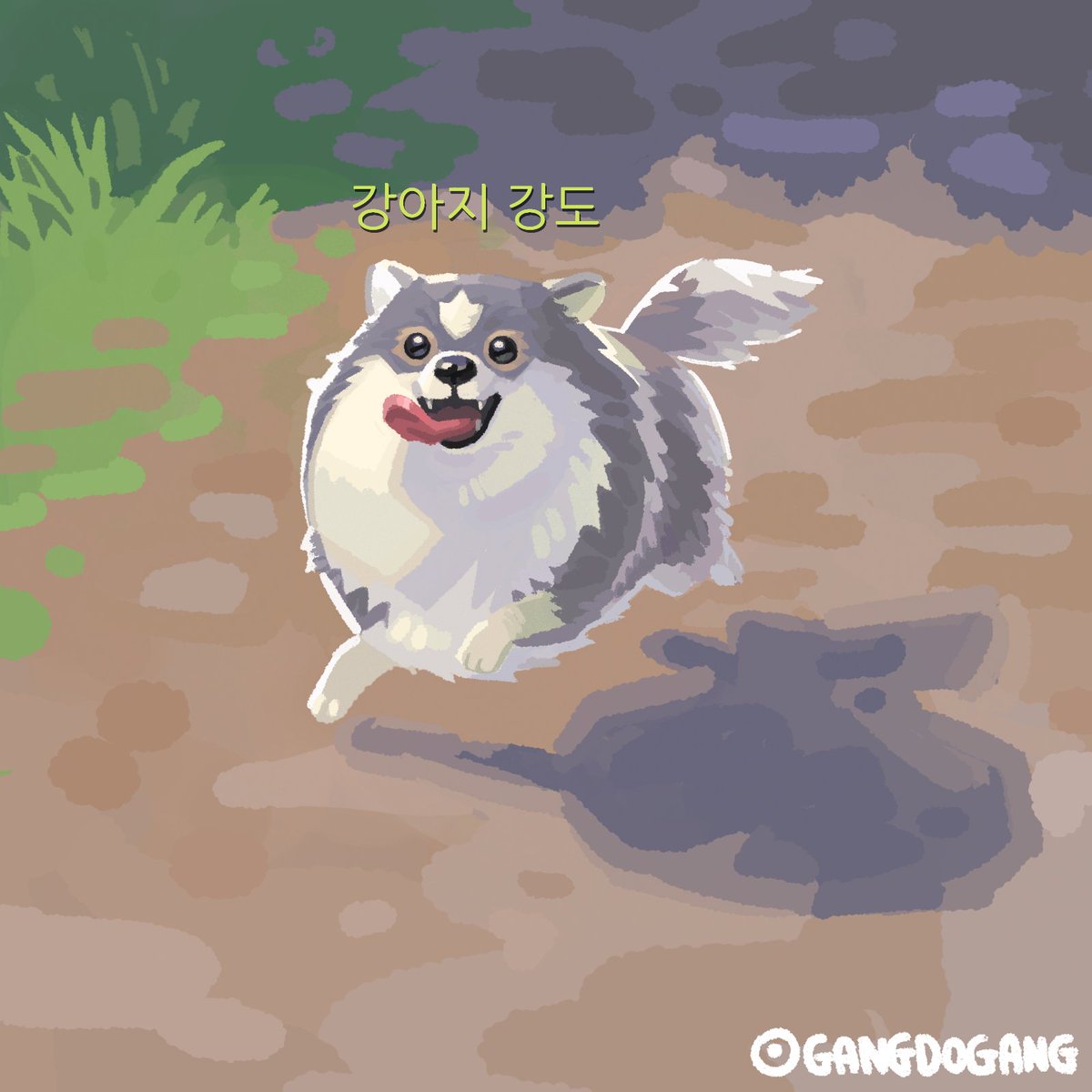 강아지 강도 (@gangdogang) on Twitter photo 
