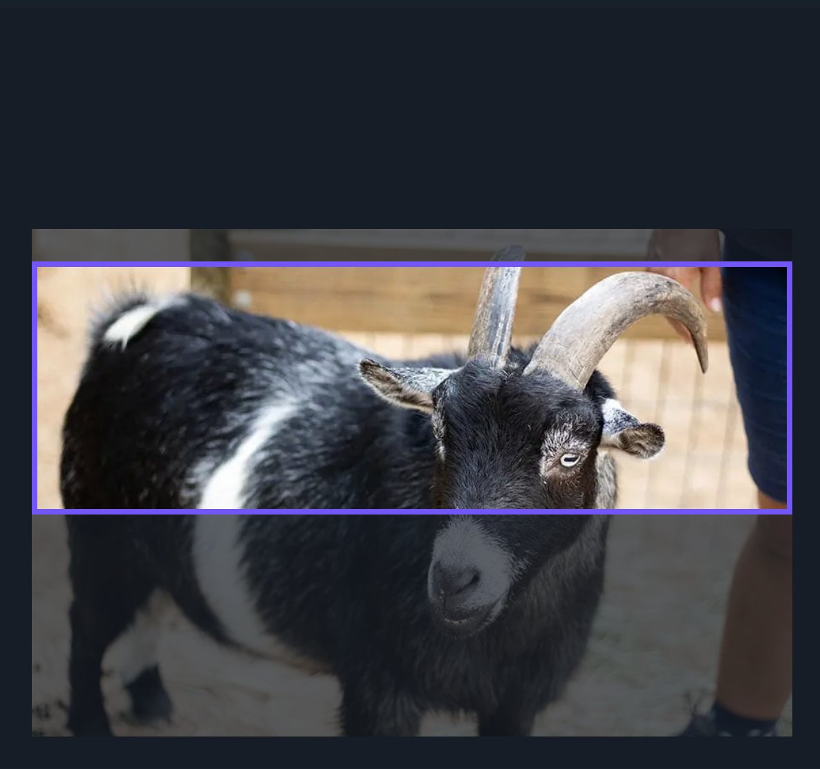 changing our mascot to the goat how do we fit this into our banner