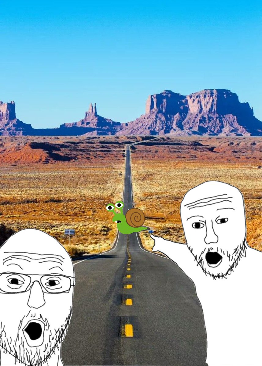 SlooowSnail's tweet photo. When your fans spot you mid-crossing the longest road in existence. 🐌🚦 https://t.co/zK3WMtJX9c