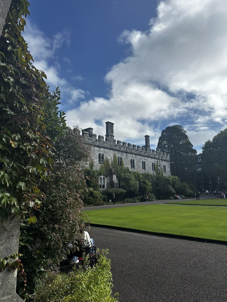 Iseult Ní Chonchúir tweet media