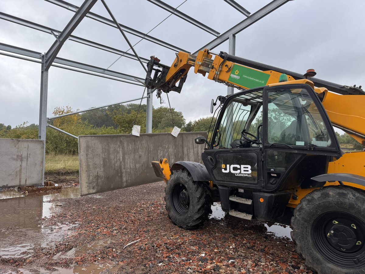 Tim Adkins tweet media