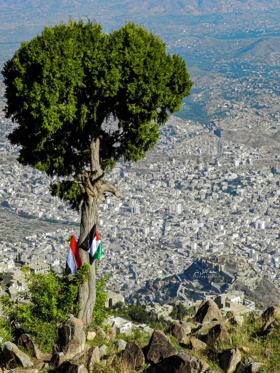 صورة تنطق بصمود يتجاوز حدود الكلمات .. ويشعرك بعمقها الذي يعادل ألف قصيدة 🇾🇪🇵🇸

إطلالة من قمة جبل صبر على مدينة تعز

📸 : محمد بشر #اليمن