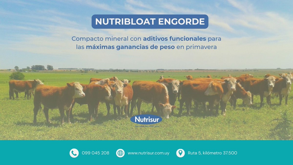 Pastorear sus animales y olvidarse del meteorismo es posible con Nutribloat Engorde, un producto de Nutrisur

👉🏽 Pruébelo y compruebe los resultados