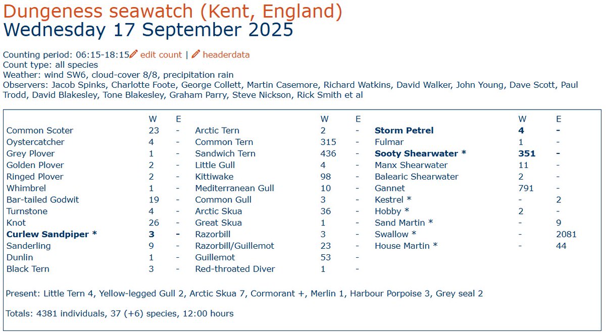 A superb all day seawatch with twelve hours of coverage at the Fishing Boats. The Sooty Shearwater count is the second highest for the Observatory.