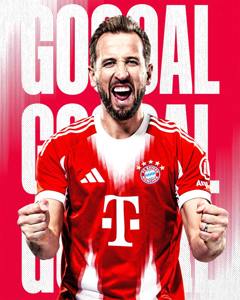 HARRY! HARRY! HARRY! 🌪️