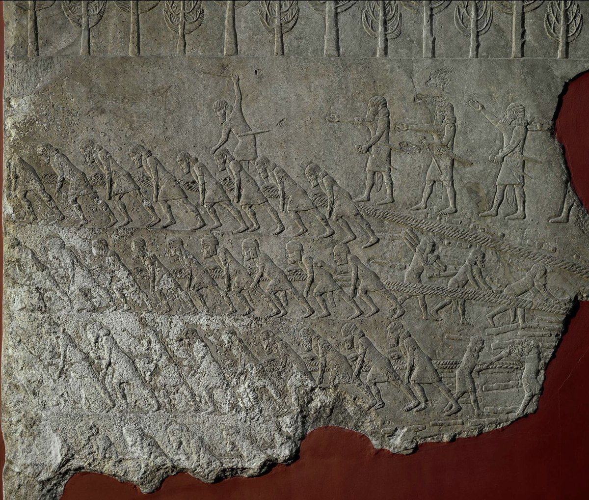 Yonatan Adler tweet media