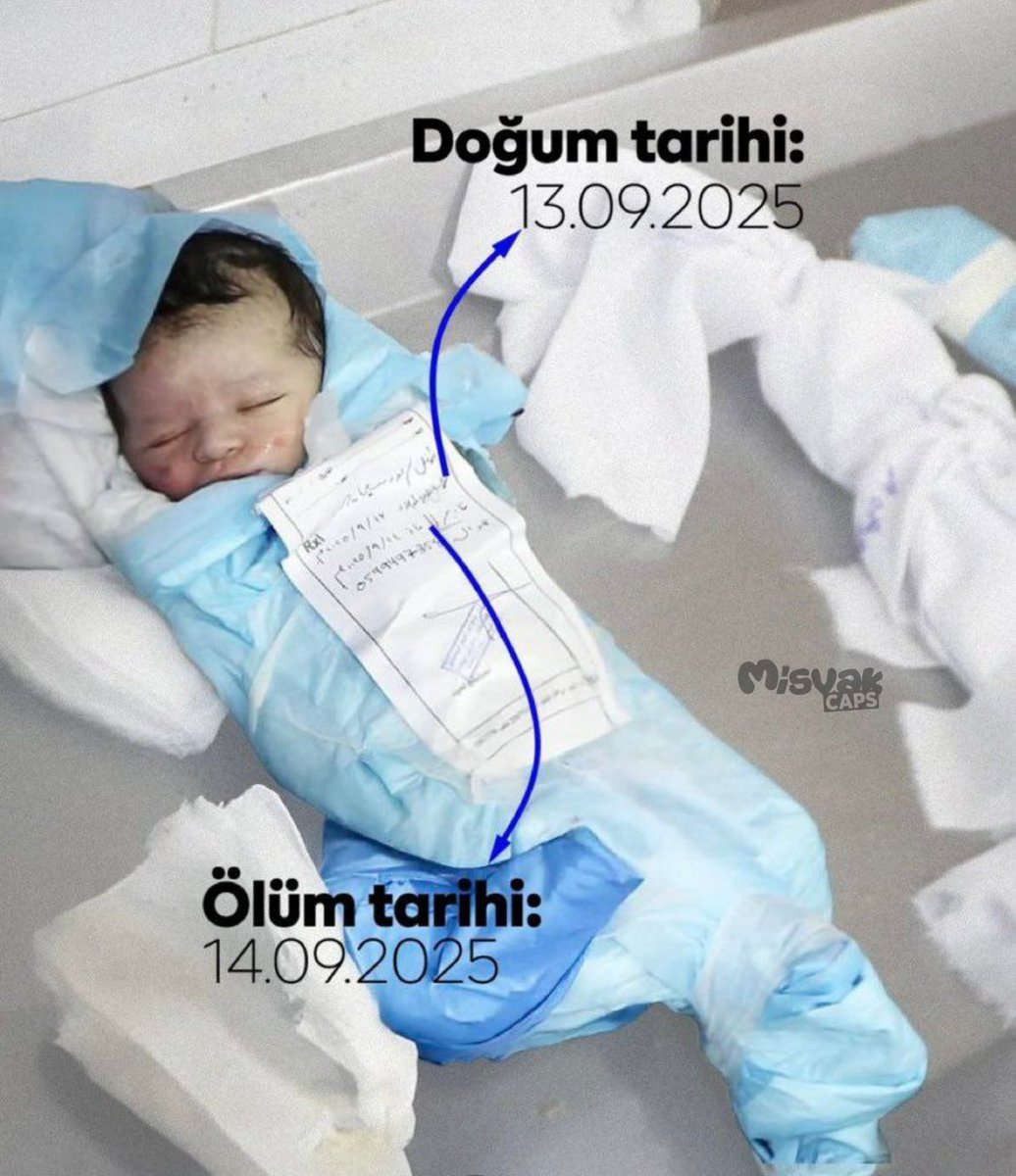 Gazze'de ölmek çocuk işi !

Gazze'de bebeklerin ömrü bir kelebek kadar !