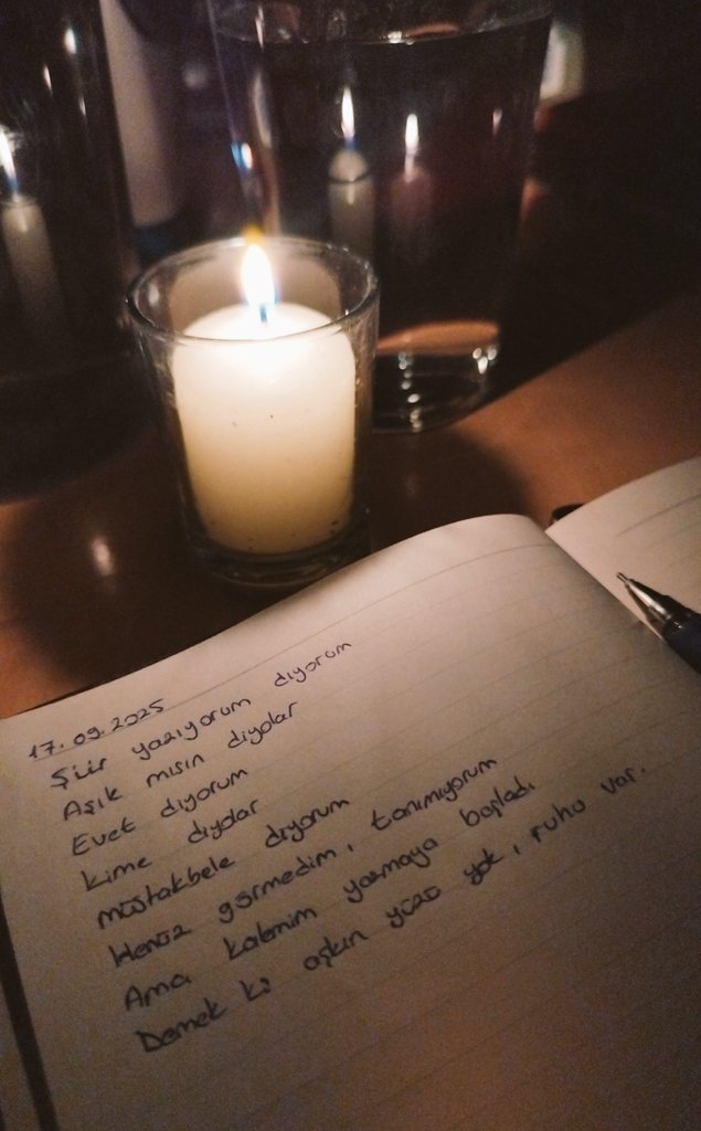 Matematikçi olmaktan istifa ediyorum. Kelimelerimle  beraber edebiyat denizine açılmaya karar verdik