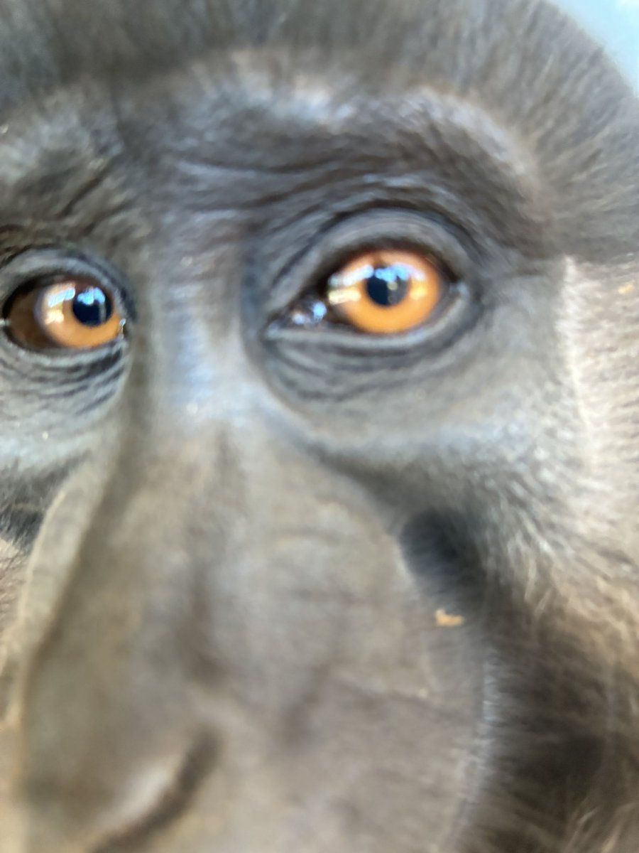 这个世界越来越荒诞了，今天整理私信居然发现有一个叼毛男给我发了一张自己不到10CM的屌照，然后私信我让我给他口…..我真特么气笑了，还在想是不是挂出来恶心一下大家….