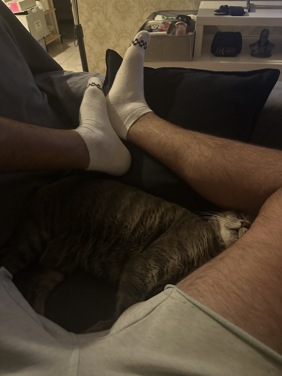 bacaklarımın en rahat yastık olduğunun su götürmez kanıtı