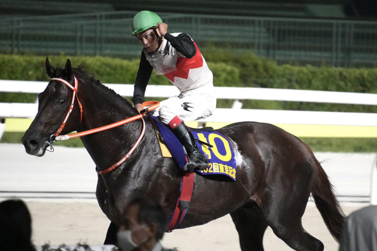 マルカンラニ – търсене / X