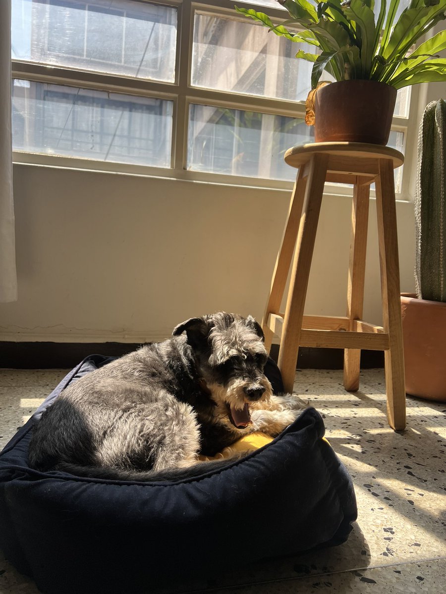 Alberto Arcas (@elarcas) on Twitter photo 