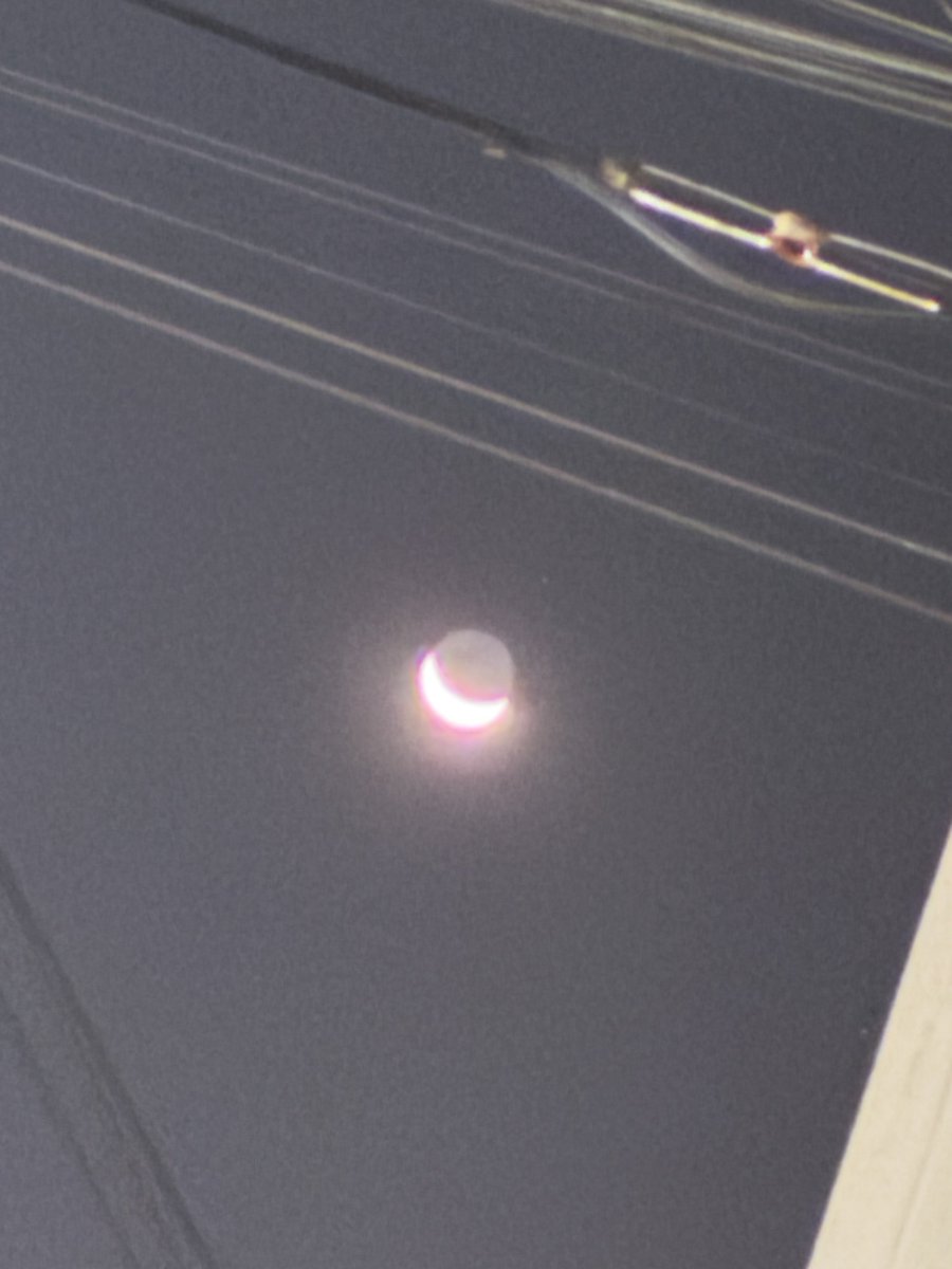 地球照が写真でもよく分かる。
南の空にはオリオン座が見える時間。