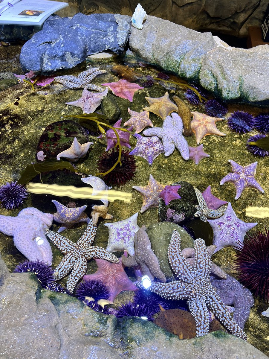 Nuthin’ But A “G” Thang.