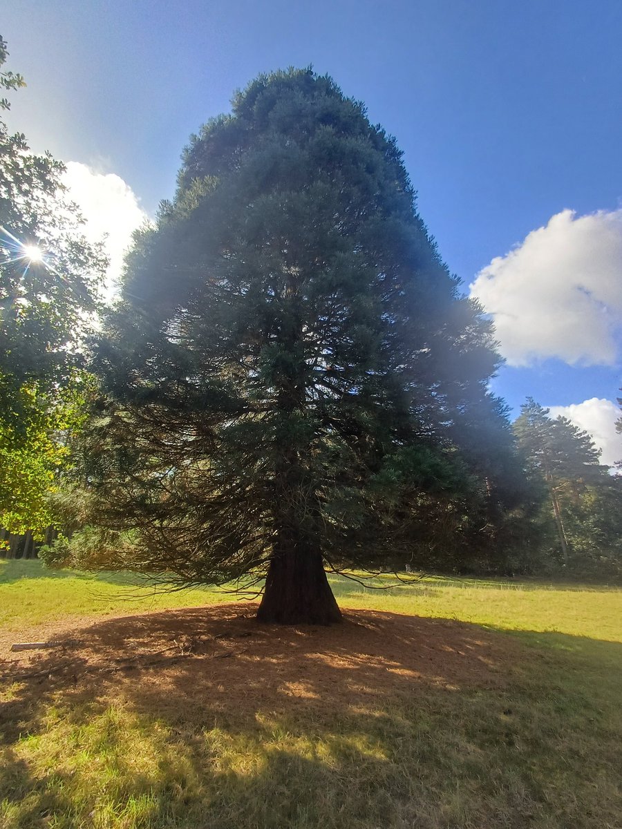 camerasnapshots (@camerasnapshots) on Twitter photo 