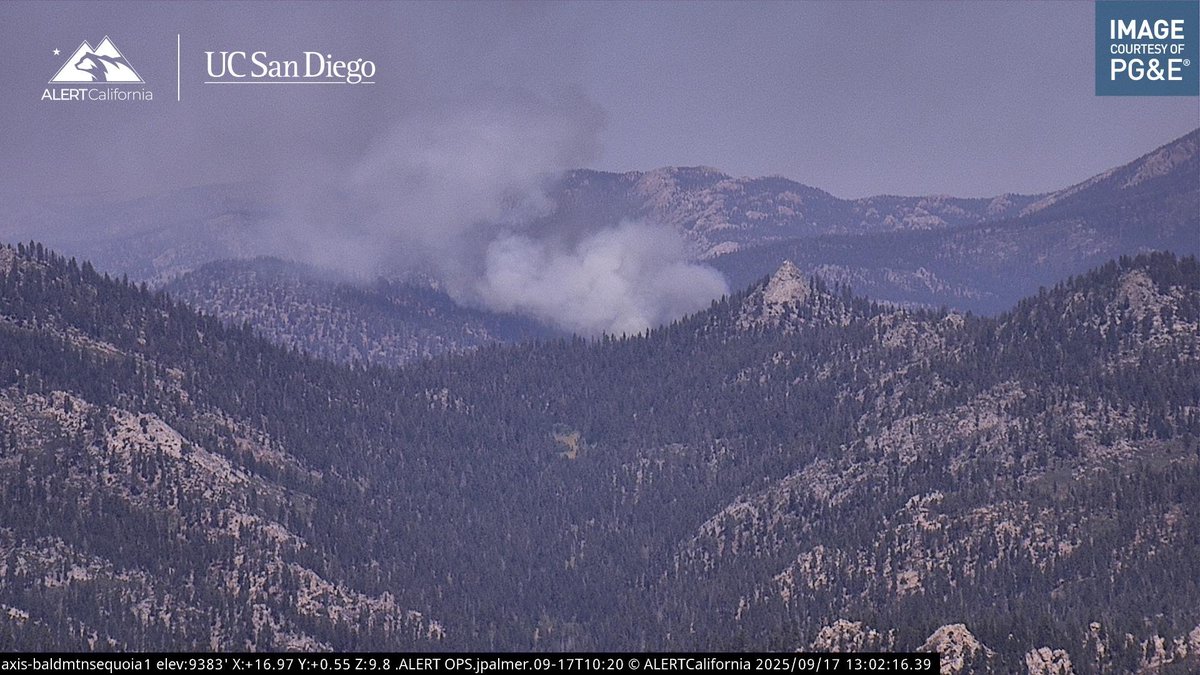 InfernoWatch24's tweet image. LIVE LOOK (#PassFire): live look of the fire from Bald Mountain Sequoia cam 1.