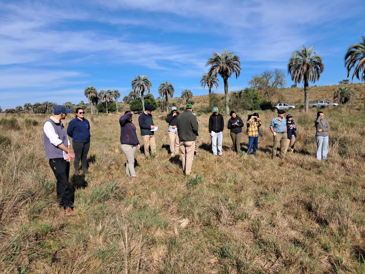 PlanAgro's tweet photo. #Hoy en 📍Quebracho, Paysandú
Visita a 📌#ProducoraAsociada Ing. Virginia Caravia, con estudiantes del Polo Educativo Tecnológico de Paysandú #DGETP @UTU_Uruguay
Ing. Rómulo Cesar #PlanAgro
#Capacitación #Ganadería #campo https://t.co/oBh2zXP8Qu
