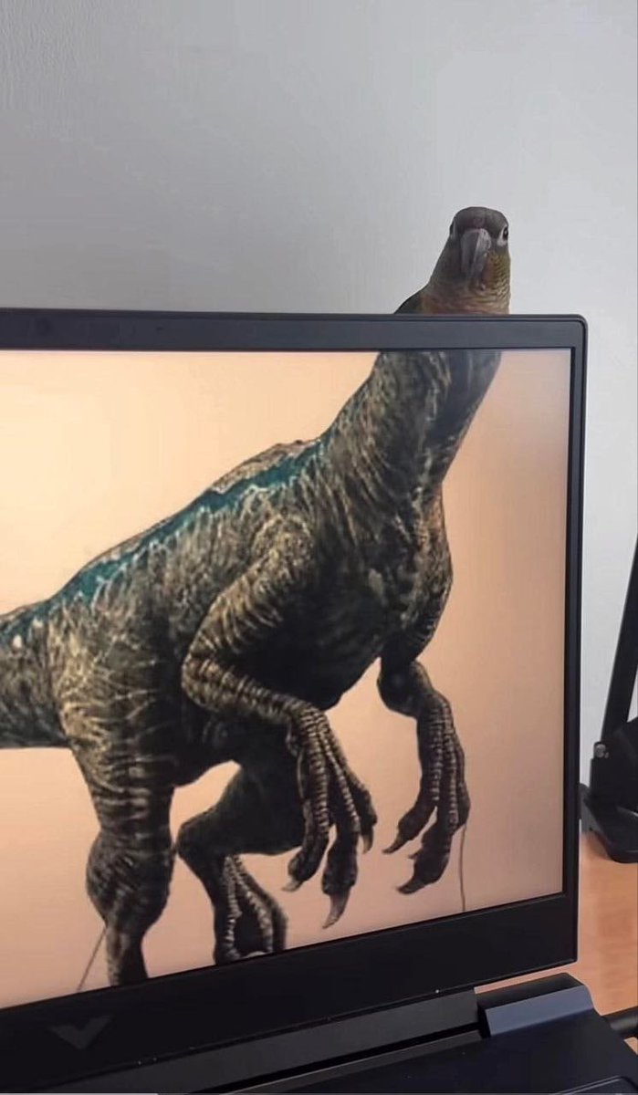 dingo3784's tweet photo. When evolution glitches but still works. https://t.co/EuTG7IkXO3