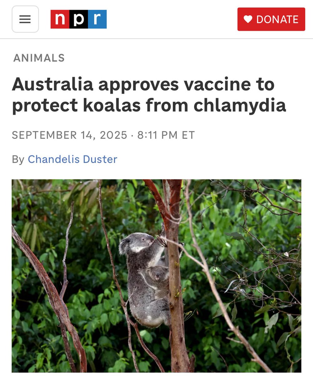 Liz Highleyman tweet media