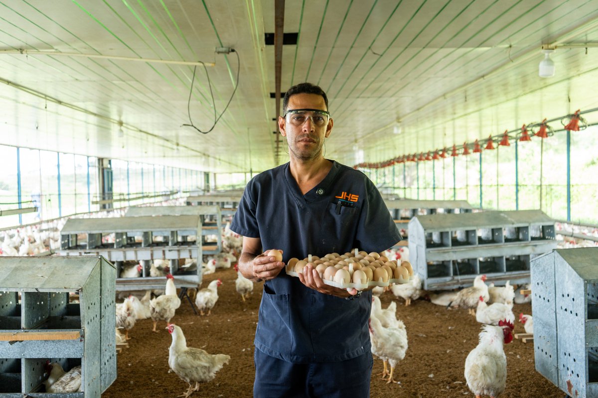 JHS Agroindustria tweet media