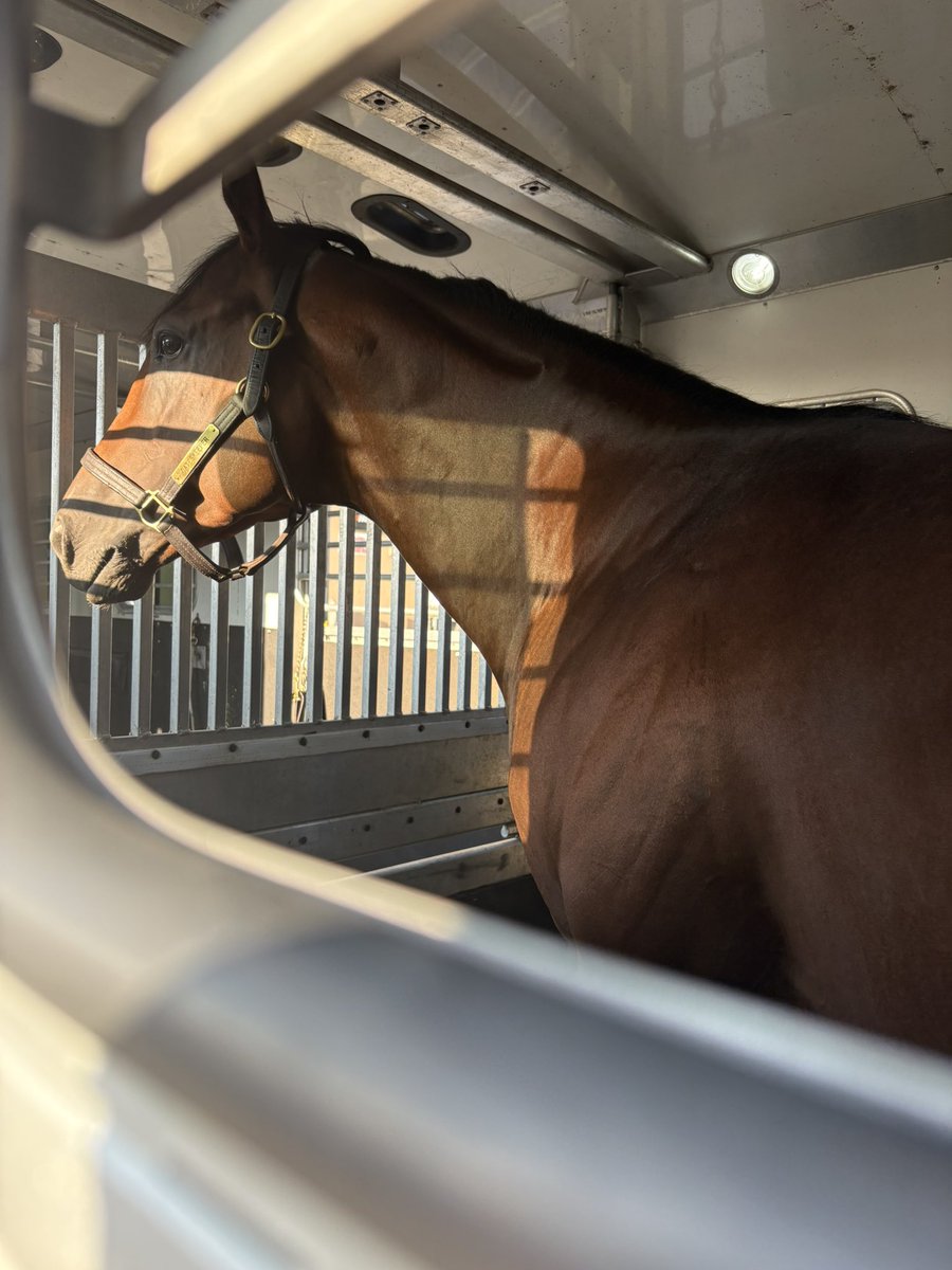 Looking out at big dreams 🤍💚