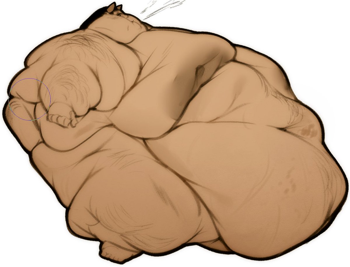 human fat practice
