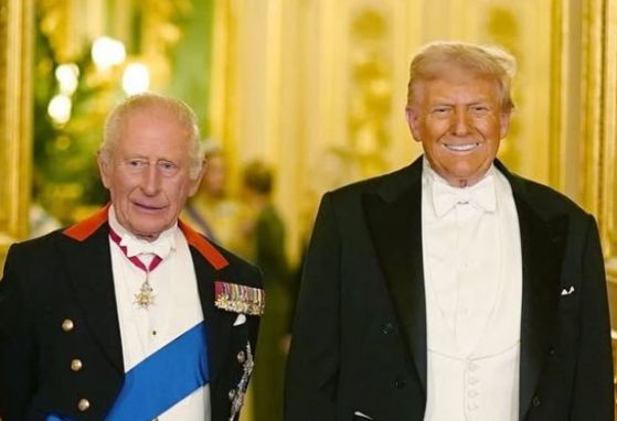 Mike Nellis tweet media