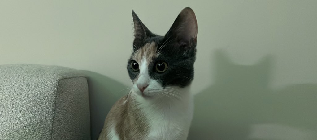 TT (@boo___o) on Twitter photo 